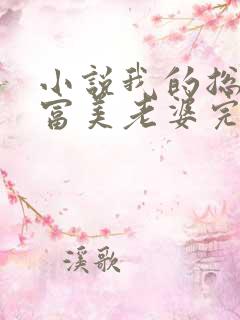 小说我的总裁白富美老婆完结版