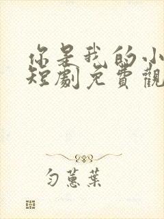 你是我的小美好短剧免费观看全集