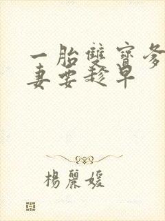 一胎双宝爹地宠妻要趁早