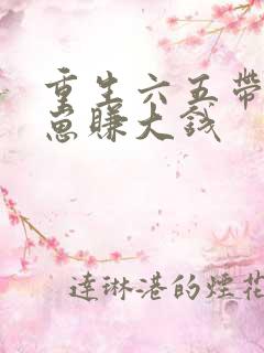 重生六五带着崽崽赚大钱