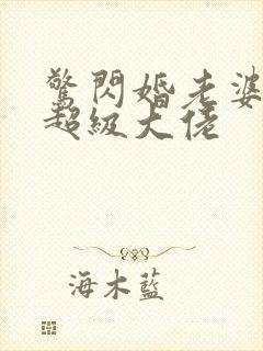 惊闪婚老婆竟是超级大佬