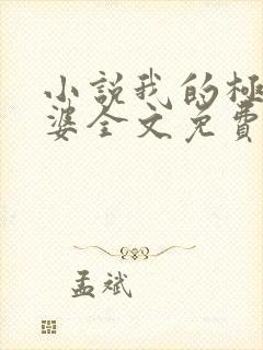 小说我的极品老婆全文免费阅读