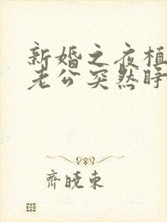 新婚之夜植物人老公突然睁开了眼