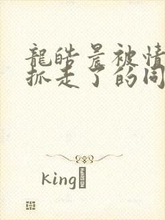 龙皓晨被情魔神抓走了的同人小说