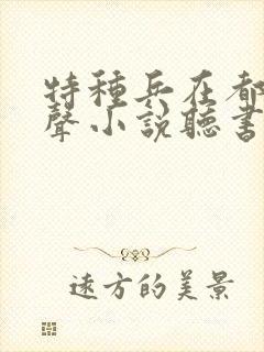 特种兵在都市有声小说听书宝