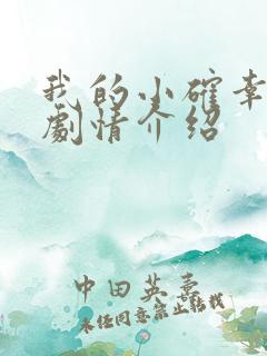 我的小确幸分集剧情介绍