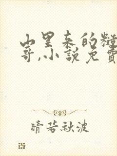 山里来的糙汉表哥,小说免费阅读