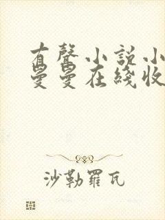 有声小说小苮儿曼曼在线收听全集