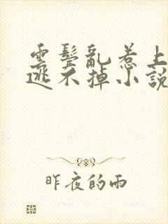 云鬓乱惹上权臣逃不掉小说全文免费阅读