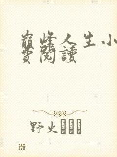 巅峰人生小说免费阅读