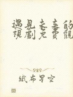 遇见未来的你电视剧免费观看全集