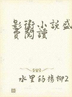 影卫小说盛淮免费阅读