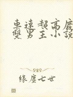 车速超高废文的双男主小说推荐短篇