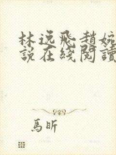 林逸飞赵婉清小说在线阅读