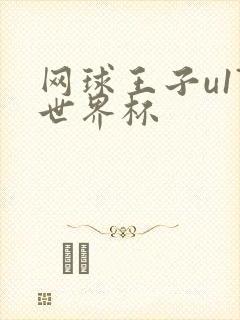 网球王子u17世界杯