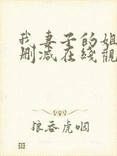 我妻子的姐姐未删减在线观看