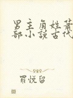 男主角姓萧的全部小说古代