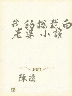 我的总裁白富美老婆 小说