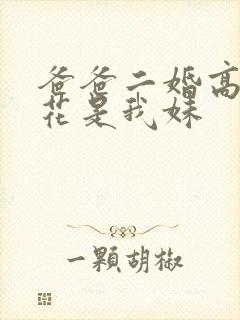 爸爸二婚高冷校花是我妹