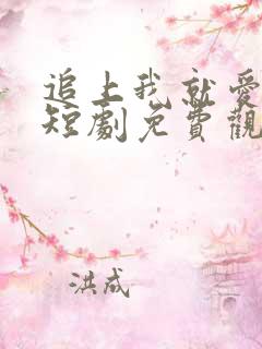 追上我就爱上你短剧免费观看