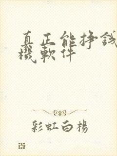 真正能挣钱的手机软件