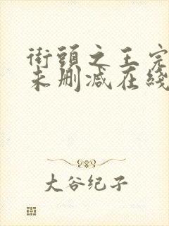 街头之王完整版未删减在线免费观看