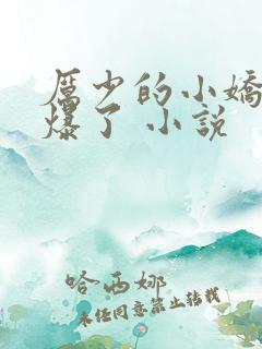 厉少的小娇妻甜爆了 小说