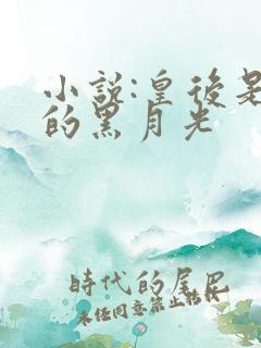 小说:皇后是朕的黑月光