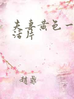 夫妻黄色一级生活片