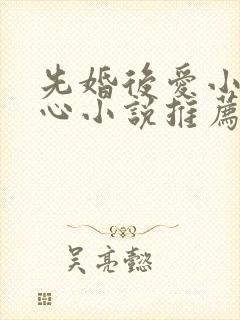 先婚后爱小说虐心小说推荐古言