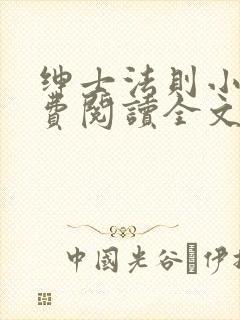 绅士法则小说免费阅读全文无弹窗