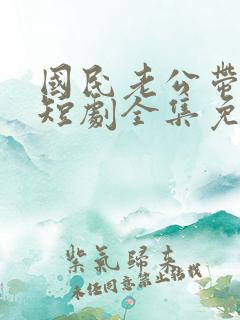 国民老公带回家短剧全集免费观看