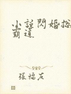 小说闪婚总裁太霸道