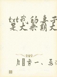 txt我的妻子是大乘期大佬下载
