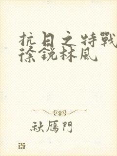 抗日之特战兵王徐锐林风