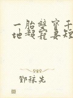 一胎双宝千亿爹地超宠妻短剧