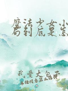 魔法少女小圆结局到底是怎样的