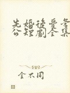 先婚后爱爹系老公短剧全集