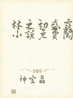 林之初盛霆烨的小说免费阅读