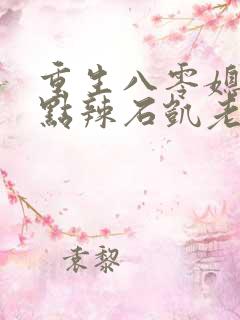 重生八零媳妇有点辣石凯老婆结局