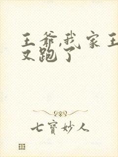 王爷,我家王妃又跑了