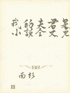 我的夫君是冥王小说全文免费阅读