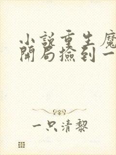 小说重生魔修,开局捡到一颗丧尸星球更新