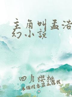 主角叫孟浩的玄幻小说