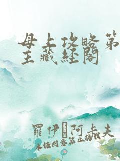 母上攻略第一版主藏经阁