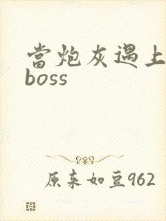 当炮灰遇上反派boss