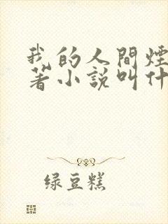 我的人间烟火原著小说叫什么