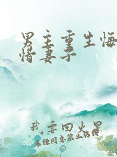 男主重生悔过珍惜妻子