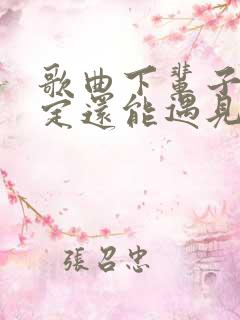 歌曲下辈子不一定还能遇见你原唱