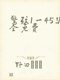 惊弦1一45集全免费